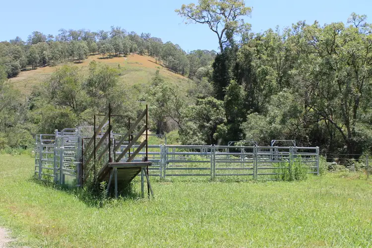 Second view of Homely rural property listing, 545 Masseys Creek Road Eccleston Via, East Gresford NSW 2311