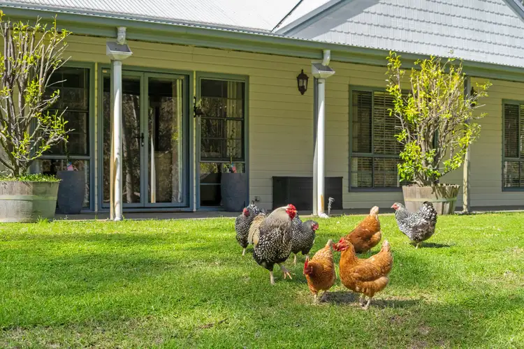 Fourth view of Homely rural property listing, 190 Julia Road, Booral NSW 2425
