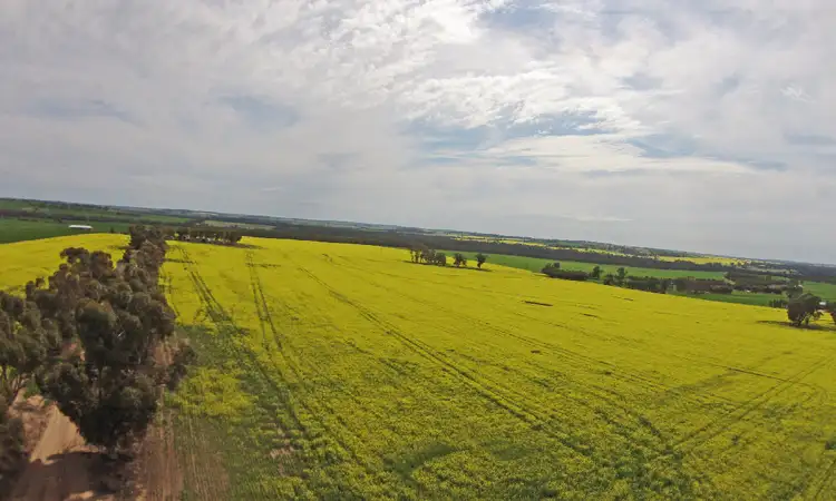 Second view of Homely rural property listing, LOT 1469 QUELLINGTON ROAD, York WA 6302