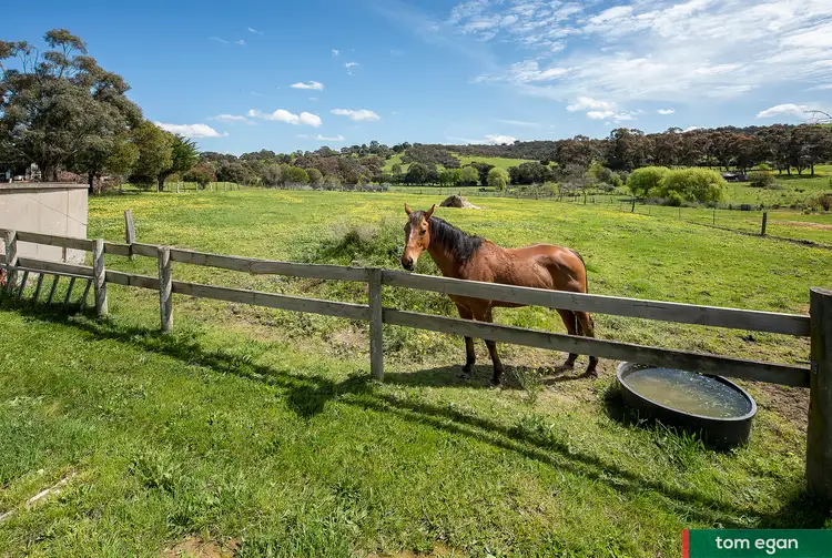 Second view of Homely house listing, 161 Seventh Avenue, Eden Park VIC 3757