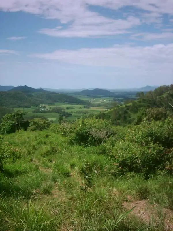 Third view of Homely rural property listing, 1619 Mirani-Mt Ossa Road, Dows Creek QLD 4754