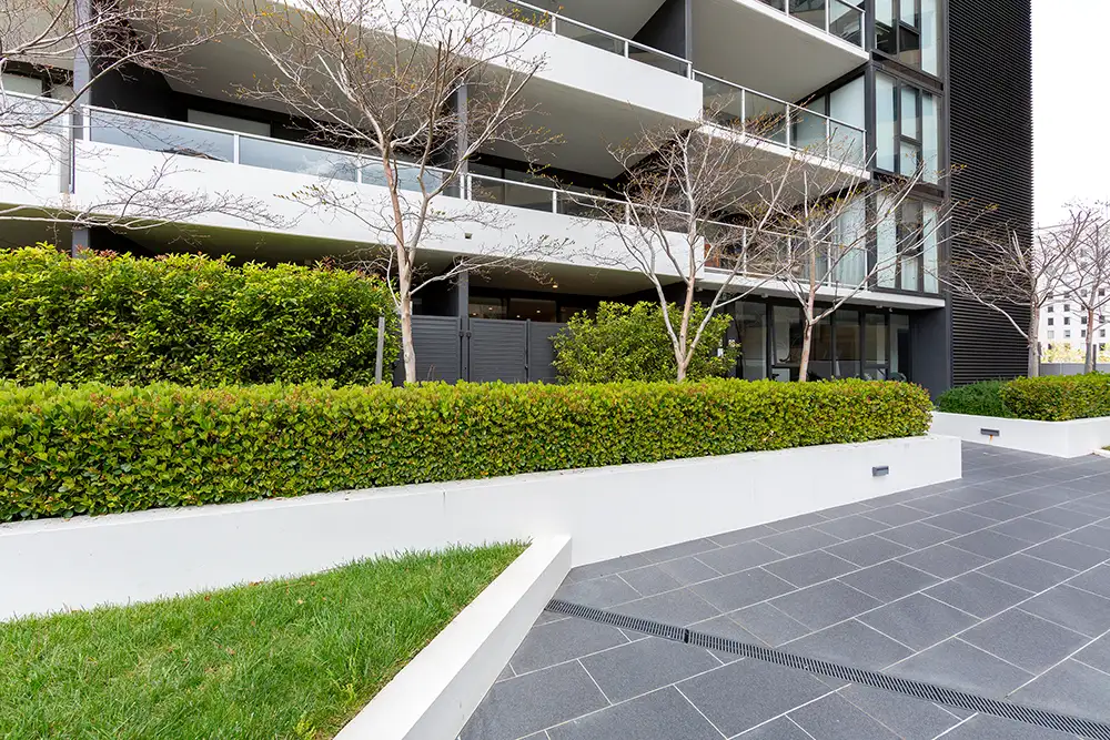 Main view of Homely apartment listing, 14/45 West Row, City ACT 2601