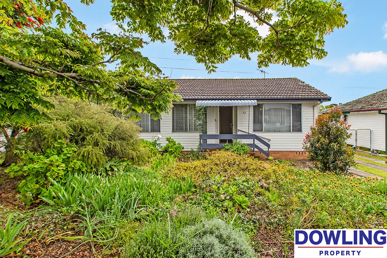 Main view of Homely house listing, 12 Curlew Crescent, Woodberry NSW 2322