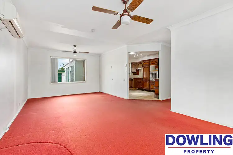 Third view of Homely house listing, 14 Curlew Crescent, Woodberry NSW 2322