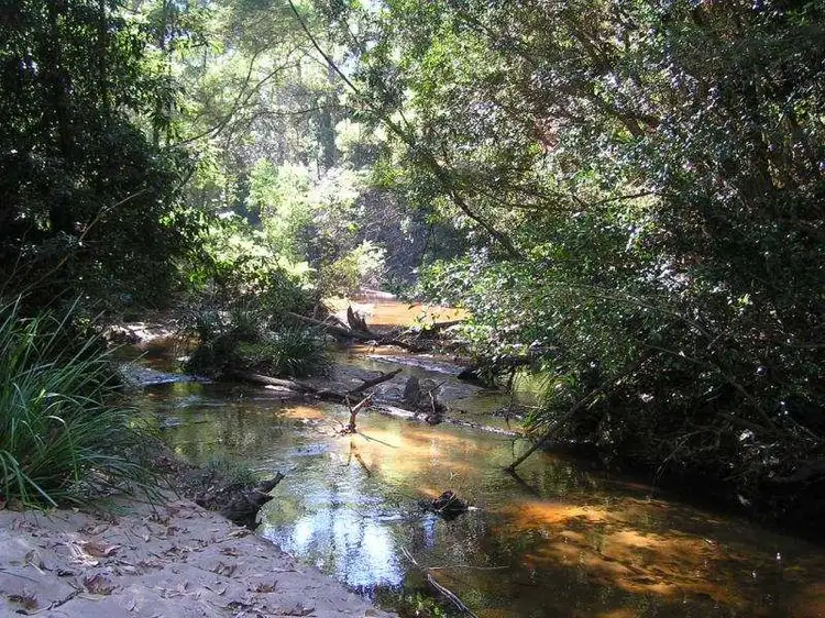 Second view of Homely rural property listing, Lot 69 Wandean Road, Wandandian NSW 2540