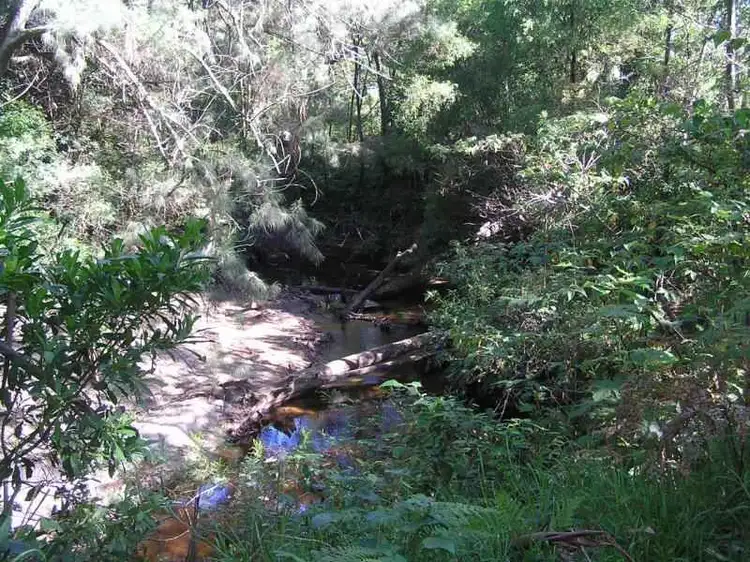 Third view of Homely rural property listing, Lot 69 Wandean Road, Wandandian NSW 2540