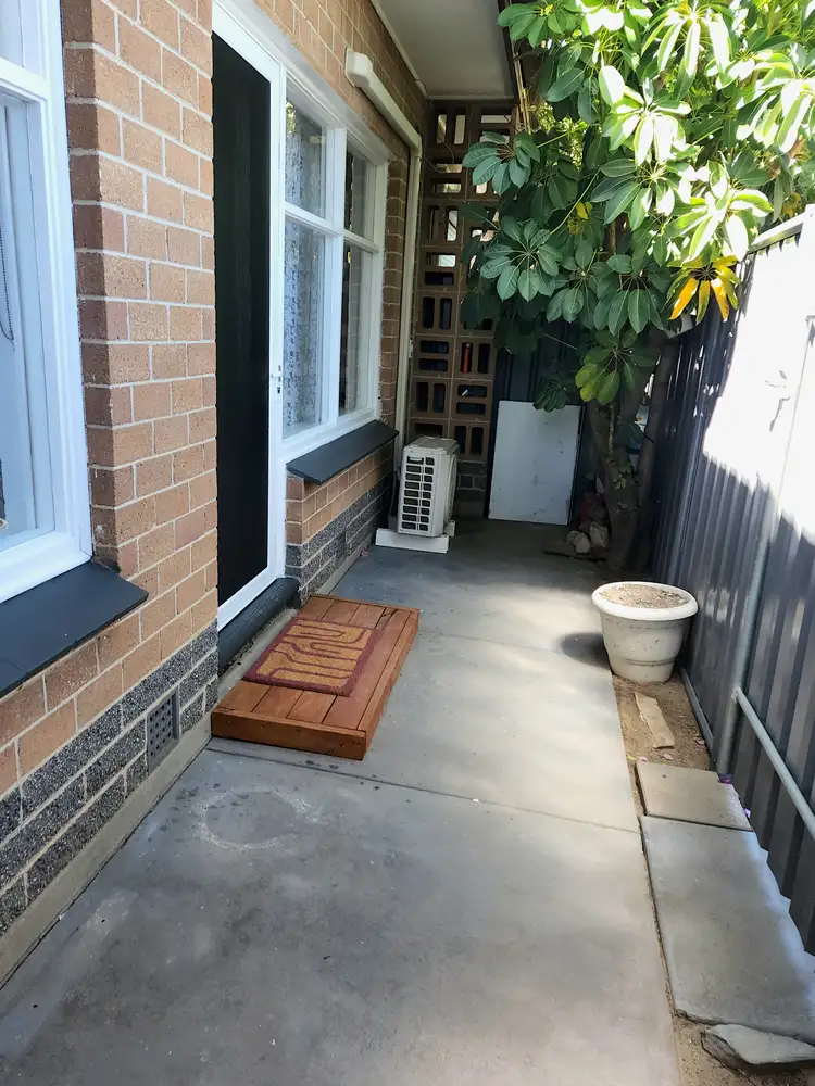 3/115 Old Pelham Street