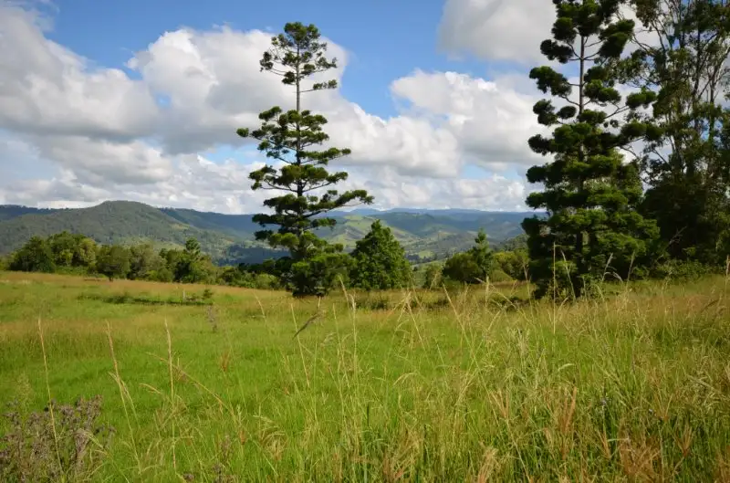 Main view of Homely rural property listing, 10 DARLINGTON RANGE ROAD, Witheren QLD 4275