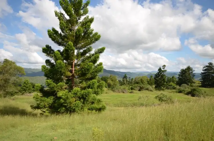 Fourth view of Homely rural property listing, 10 DARLINGTON RANGE ROAD, Witheren QLD 4275