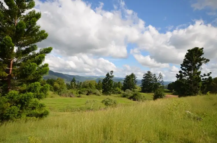 Fifth view of Homely rural property listing, 10 DARLINGTON RANGE ROAD, Witheren QLD 4275