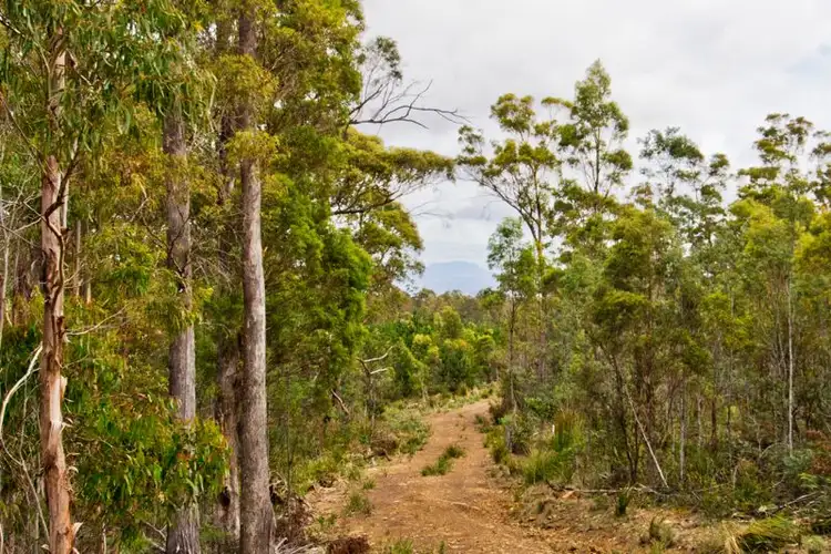 Seventh view of Homely land listing, Lot 4351 Ecclestone Rd, Launceston, Tasmania, Riverside TAS 7250