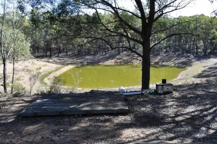 Second view of Homely rural property listing, 01072 Blue Springs Road, Gulgong NSW 2852