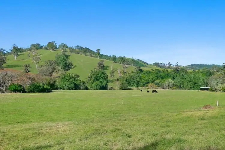Second view of Homely rural property listing, 341 Cross Keys Road, Gresford NSW 2311