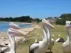 Second view of Homely land listing, Lot 1 Stage 3 - Secret by the Bay, Indented Head VIC 3223