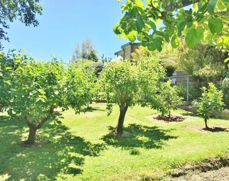 Sixth view of Homely house listing, 55 Sandy Lane, Meander TAS 7304