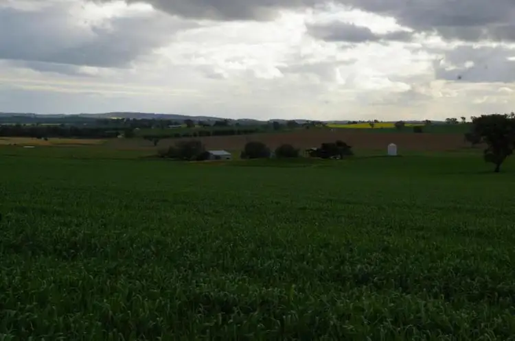 Sixth view of Homely rural property listing, Bronte Lane, Junee NSW 2663