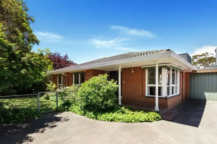 3/49 Van Ness Avenue, Mornington VIC 3931
