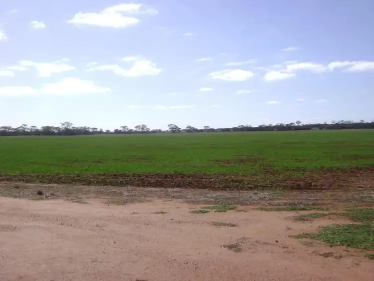 Sixth view of Homely land listing, LOT 15396 Caridi Road, Nungarin WA 6490