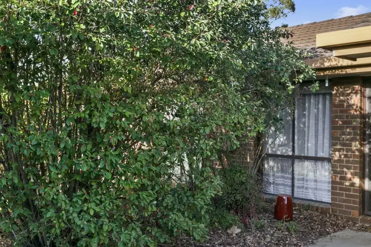 Third view of Homely unit listing, 2/63 Hopetoun Street, Bendigo VIC 3550