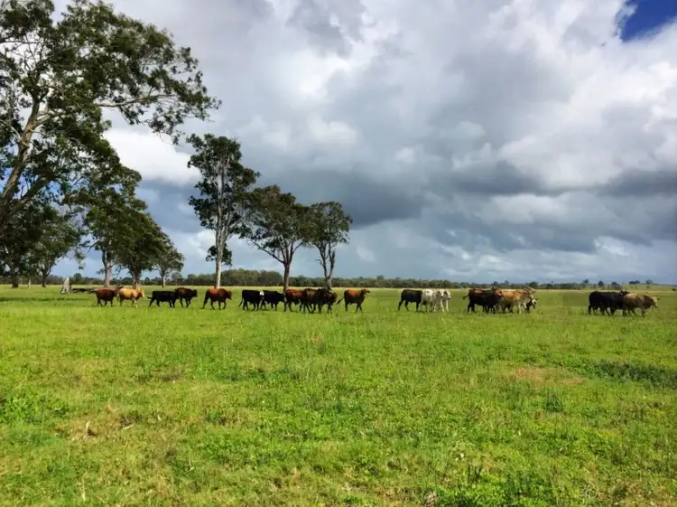 130 Myall Creek Road, West Coraki NSW 2471