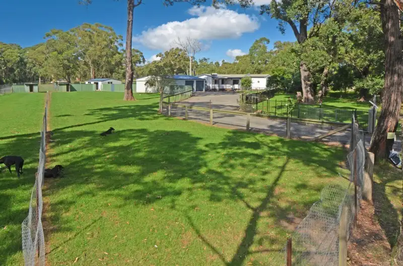 Main view of Homely house listing, 233 Turpentine Road, Tomerong NSW 2540