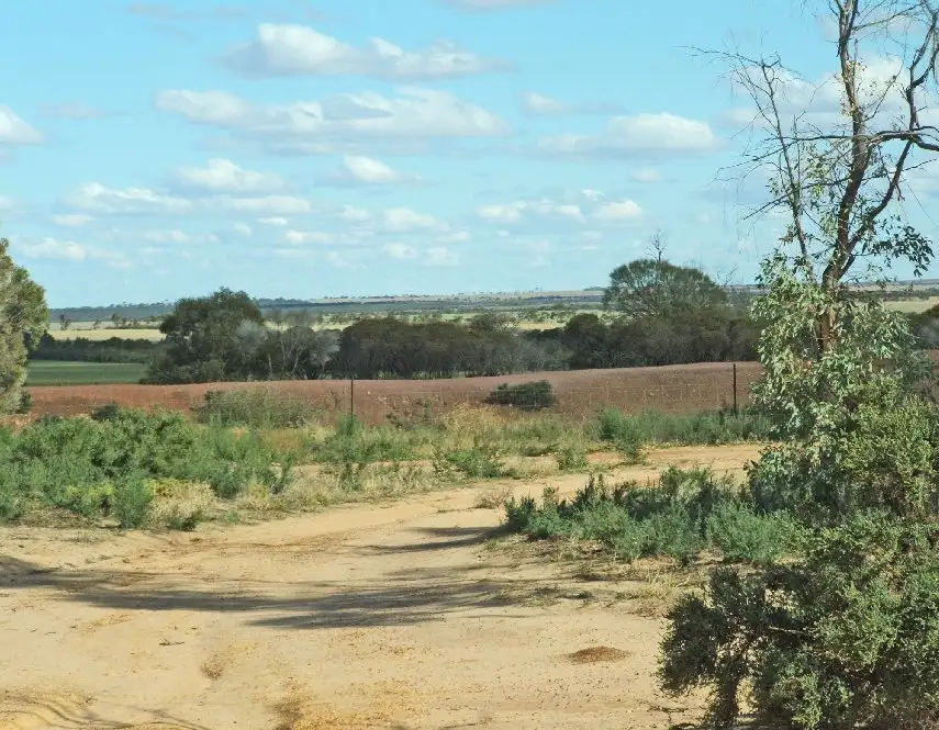Main view of Homely rural property listing, LOT 1073 MOLJI, Koorda WA 6475
