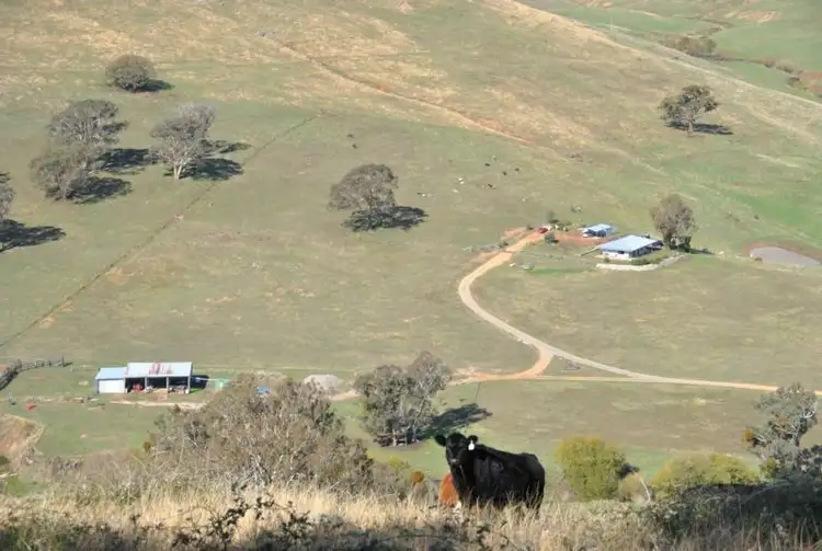 Third view of Homely rural property listing, 1326 Errowanbang Road, Errowanbang NSW 2791