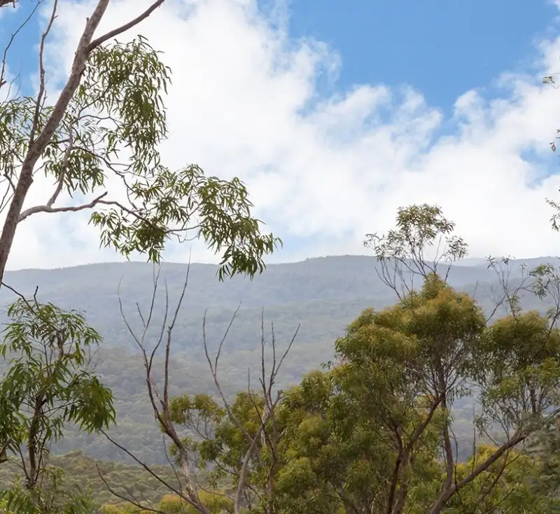 Main view of Homely land listing, 19 Grey Gum Drive, Woodford NSW 2778
