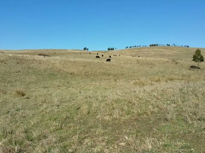 Third view of Homely rural property listing, 101 Longview Road BIGHILL, Big Hill NSW 2579