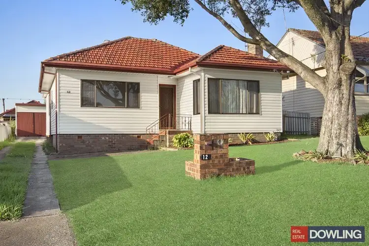 12 Malta Street, Shortland NSW 2307