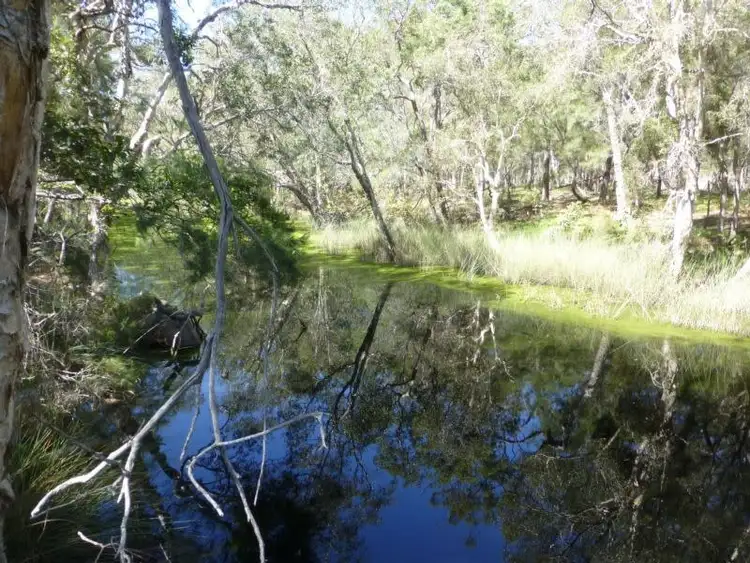 Seventh view of Homely rural property listing, LOT 3 WOODGATE ROAD, Woodgate QLD 4660