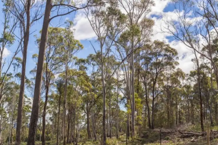 LOT 36 Swan Bay Estate, Swan Bay TAS 7252