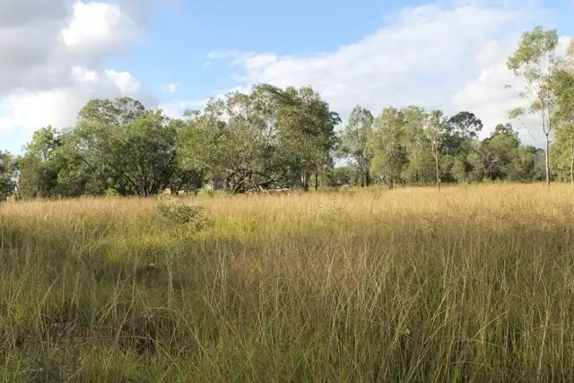 Fourth view of Homely land listing, 75 Poplar Street, Walloon QLD 4306