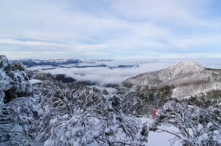 Second view of Homely unit listing, 1/146 Standard Lane, Mount Buller VIC 3723