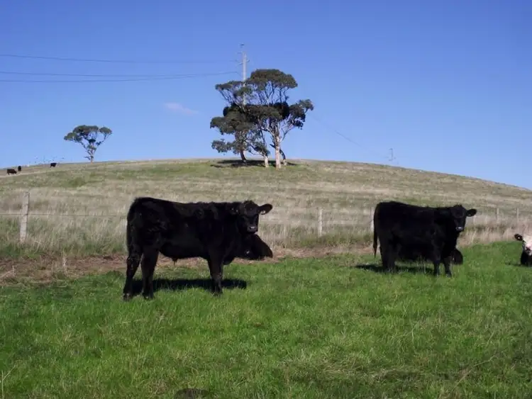 Third view of Homely land listing, LOT Lot 51 Bullaparinga Cres, Delamere SA 5204