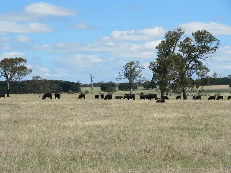 Seventh view of Homely rural property listing, LOT 2/827 Stratford-Bengworden Road, Stratford VIC 3862
