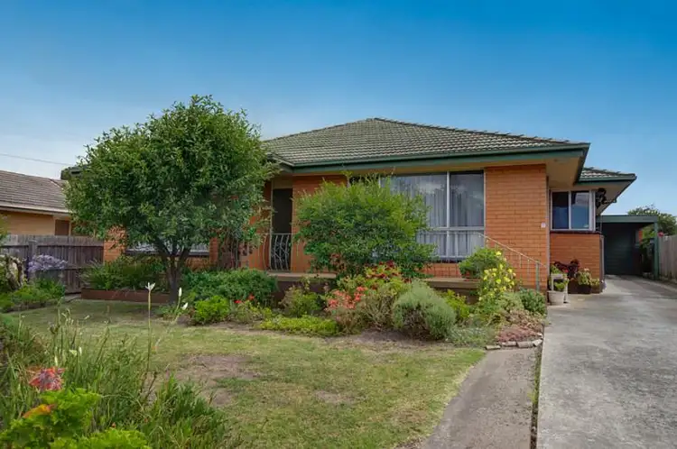 44 Pavo Street, Belmont VIC 3216