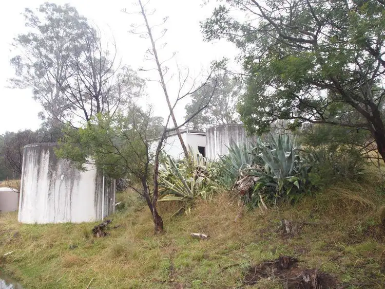 Third view of Homely rural property listing, 2435 Gelantipy Road, W Tree VIC 3885