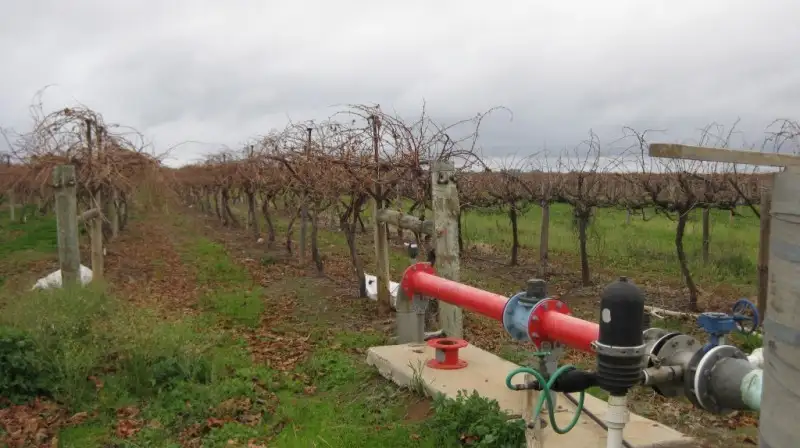 Main view of Homely rural property listing, 5 Bertram Road, Euston NSW 2737