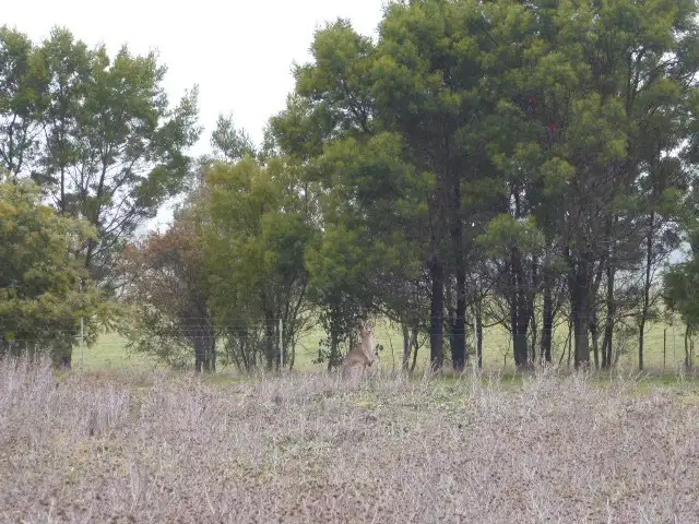 Fourth view of Homely land listing, lot 110 Waterview Road, (Meadows Stage 2), Goulburn NSW 2580