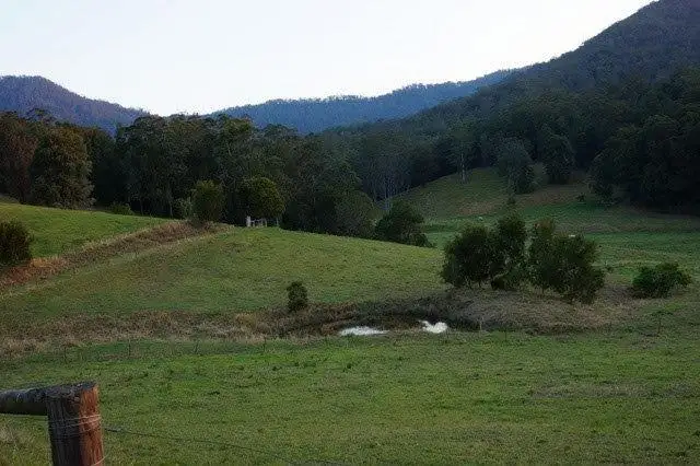 Main view of Homely rural property listing, 439 Upper Buckra Bendinni, Bowraville NSW 2449