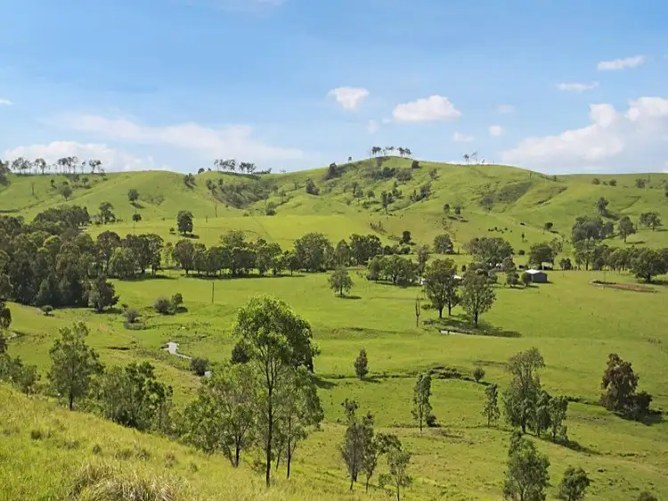 128 Sandy Creek Road, Dungog NSW 2420