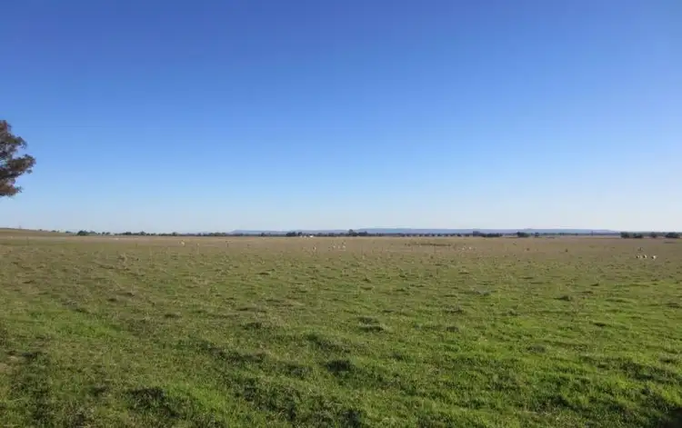 Second view of Homely rural property listing, Boralma Rutherglen Road, Springhurst VIC 3682