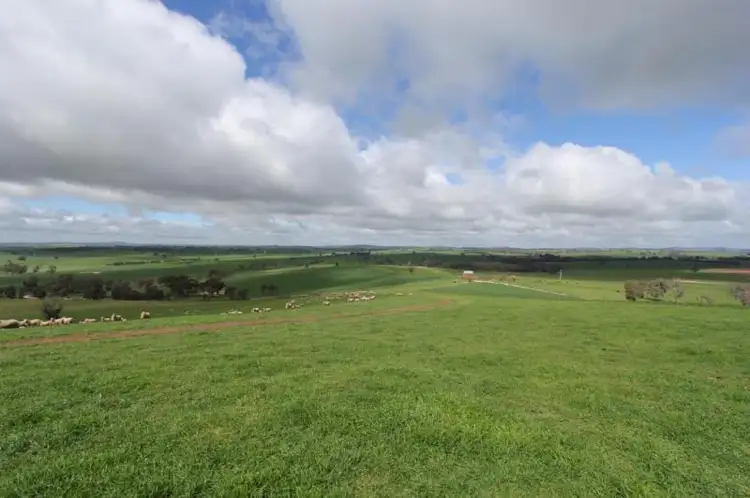 Seventh view of Homely rural property listing, 1633 Yerong Creek - Mangoplah Road via Wagga Wagga, Wagga Wagga NSW 2650