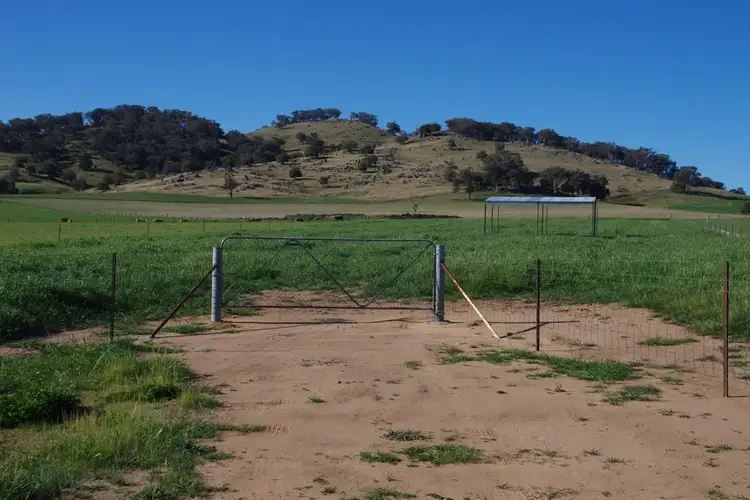 Main view of Homely rural property listing, Lots 5 and Canowindra Road, Cowra NSW 2794