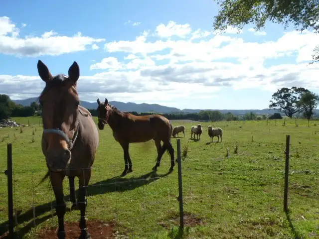 Fourth view of Homely rural property listing, ** Ruby Flats Road, Ringarooma TAS 7263
