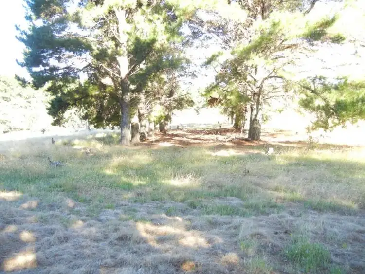 Second view of Homely land listing, 326 Fighting Gully Road, Beechworth VIC 3747