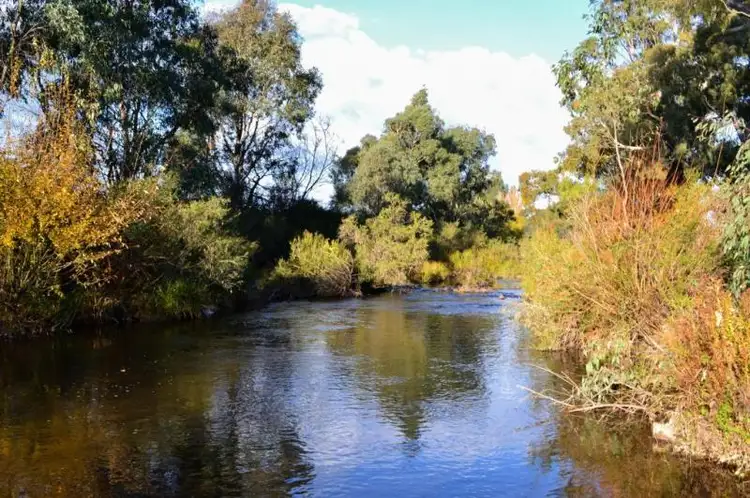 Second view of Homely house listing, 130 Walshs Road, Goughs Bay VIC 3723