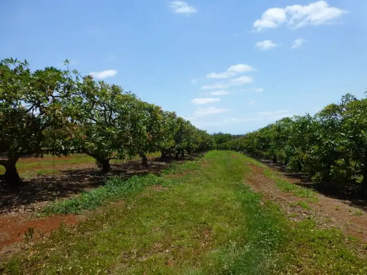 Seventh view of Homely rural property listing, 40 AVOCADO DRIVE, Childers QLD 4660