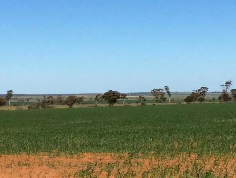 Main view of Homely land listing, LOT 14330 Davis Road, Nungarin WA 6490